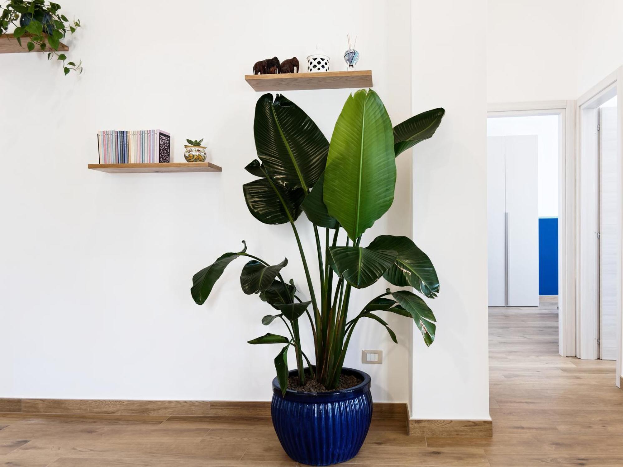Susanna Boutique Home Vico Equense Eksteriør billede