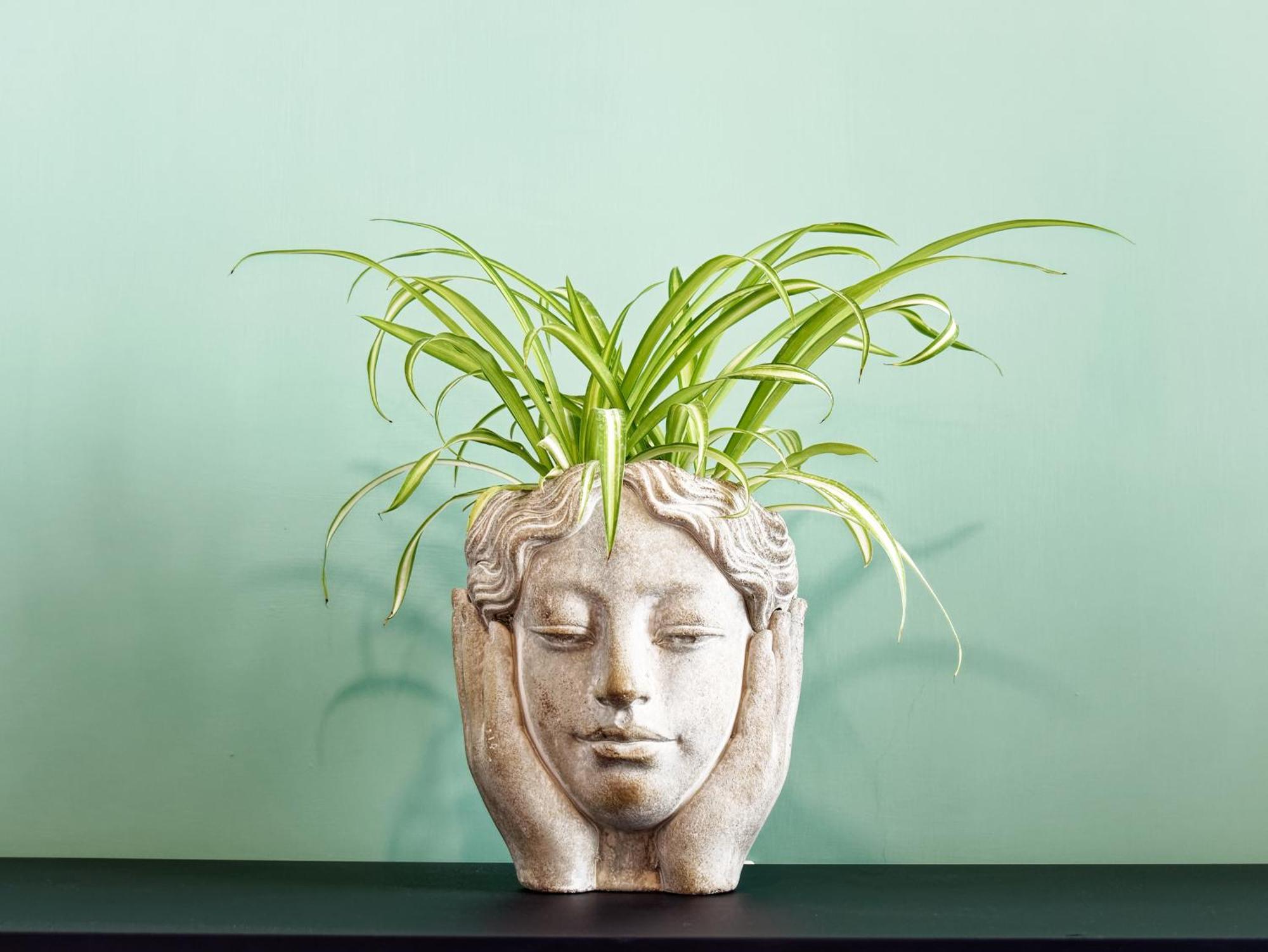 Susanna Boutique Home Vico Equense Eksteriør billede