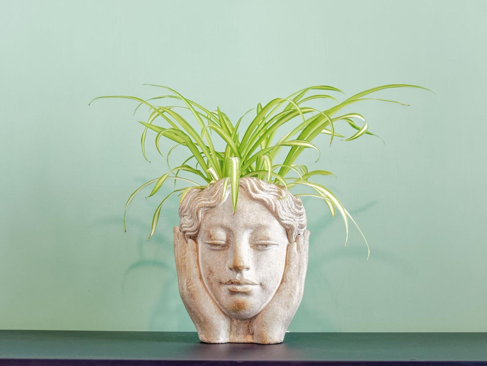 Susanna Boutique Home Vico Equense Eksteriør billede